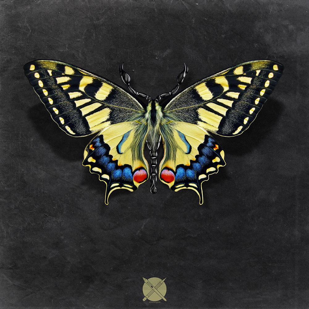 تصویرسازی مفهومی پروانه و عقرب